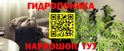 дживик Малгобек